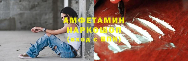 ГАЛЛЮЦИНОГЕННЫЕ ГРИБЫ Магас