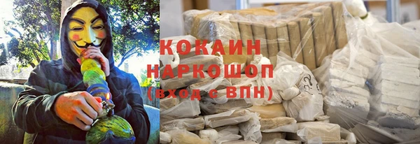 ГАЛЛЮЦИНОГЕННЫЕ ГРИБЫ Магас
