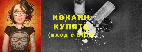ГАЛЛЮЦИНОГЕННЫЕ ГРИБЫ Магас