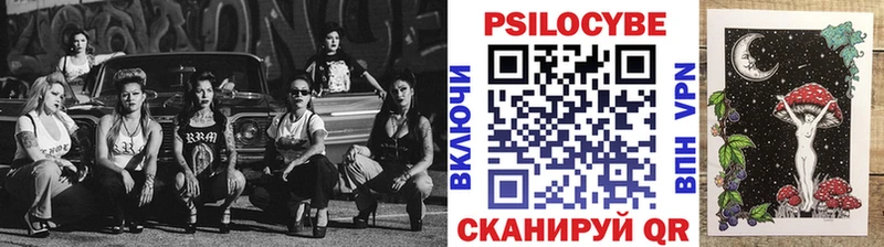 даркнет сайт  Касли  Галлюциногенные грибы Psilocybine cubensis 